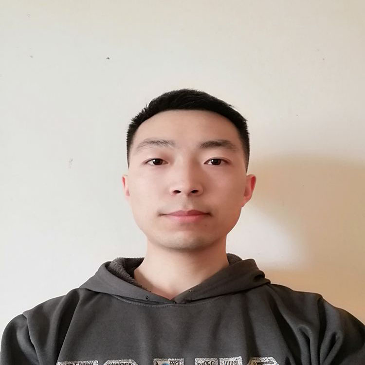 物理,语文,政治